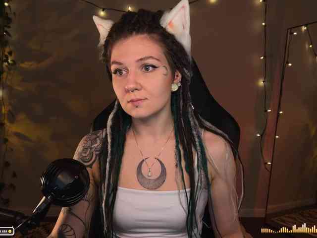 SOVA_tut webcam