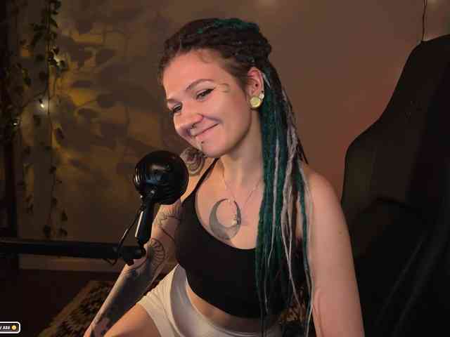SOVA_tut webcam