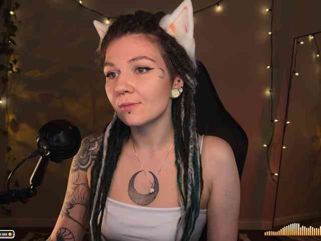 SOVA_tut webcam