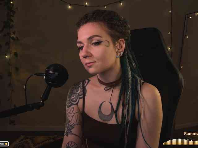 SOVA_tut webcam