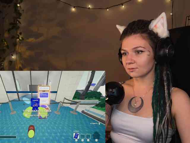 SOVA_tut webcam