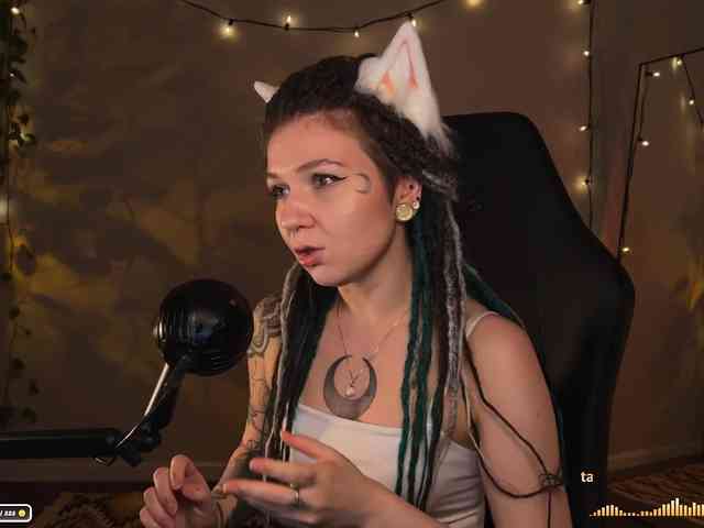 SOVA_tut webcam