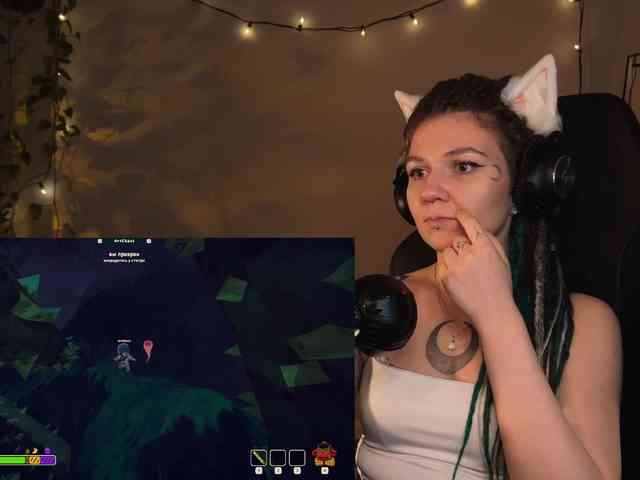 SOVA_tut webcam