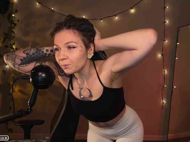 SOVA_tut webcam