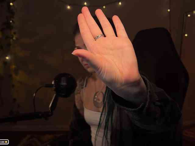 SOVA_tut webcam