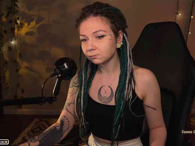 SOVA_tut webcam