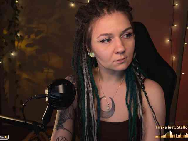SOVA_tut webcam