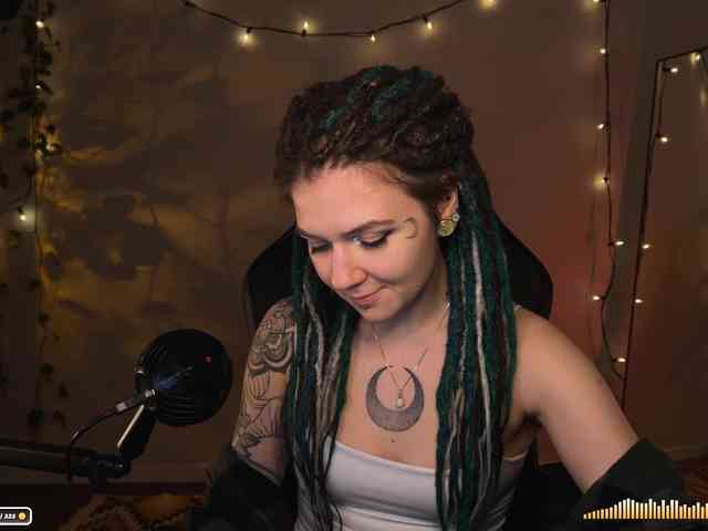 SOVA_tut webcam