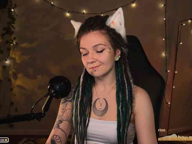 SOVA_tut webcam