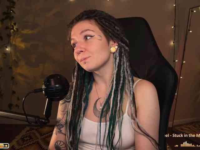 SOVA_tut webcam