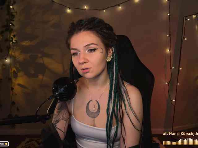 SOVA_tut webcam