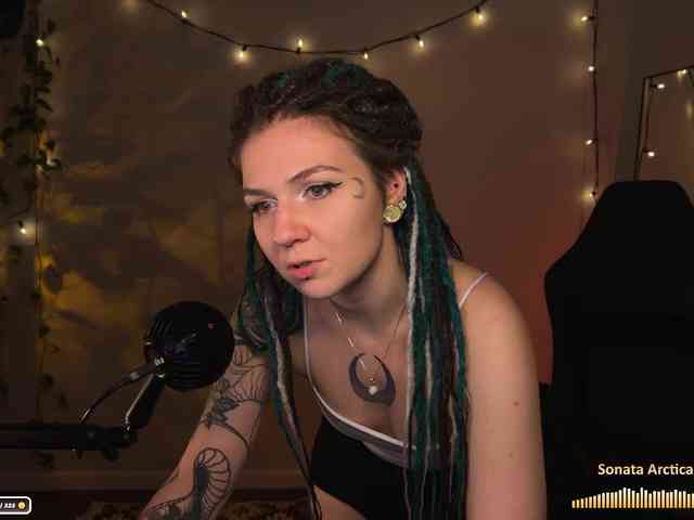 SOVA_tut webcam