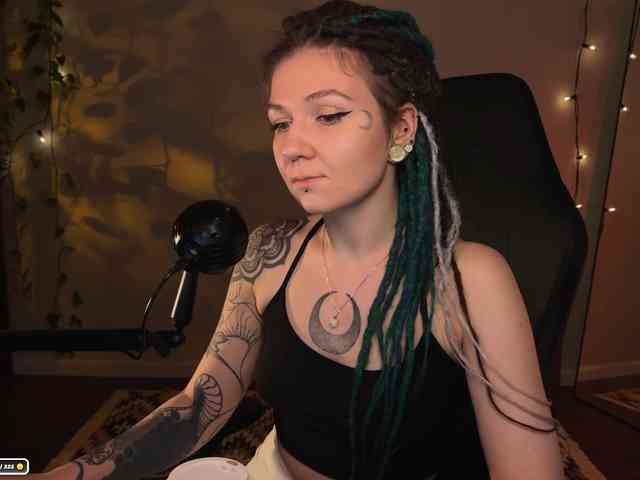 SOVA_tut webcam