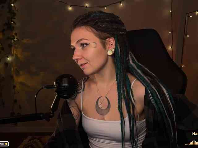 SOVA_tut webcam