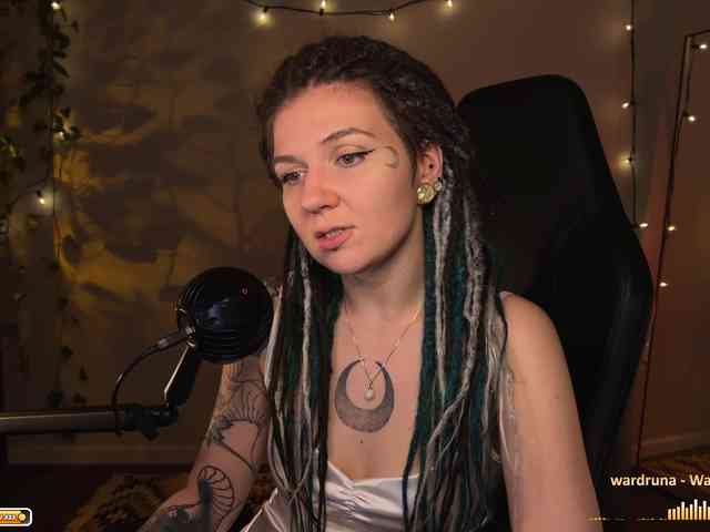 SOVA_tut webcam