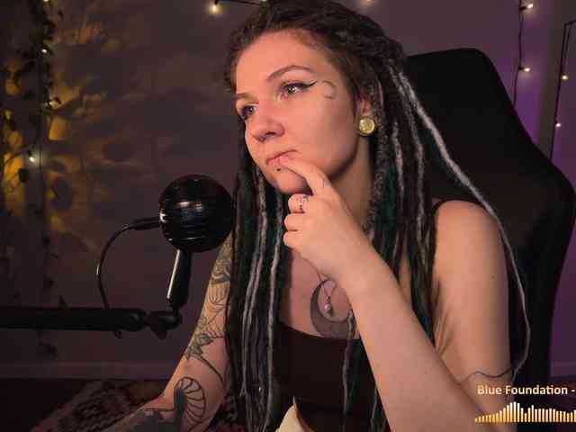 SOVA_tut webcam