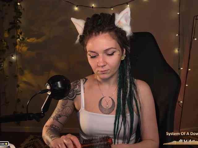 SOVA_tut webcam