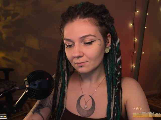 SOVA_tut webcam