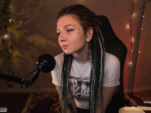 SOVA_tut webcam