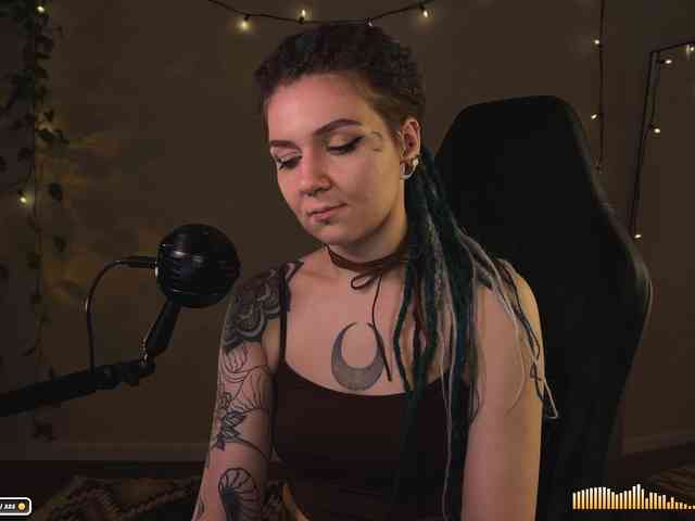 SOVA_tut webcam