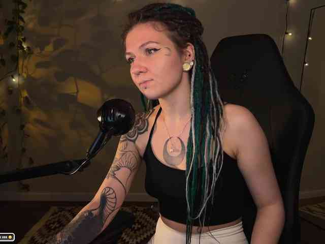 SOVA_tut webcam