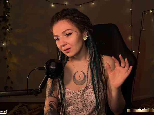 SOVA_tut webcam