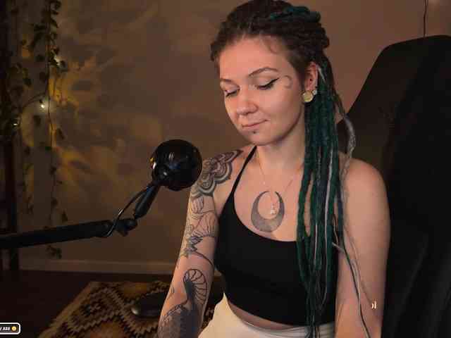 SOVA_tut webcam