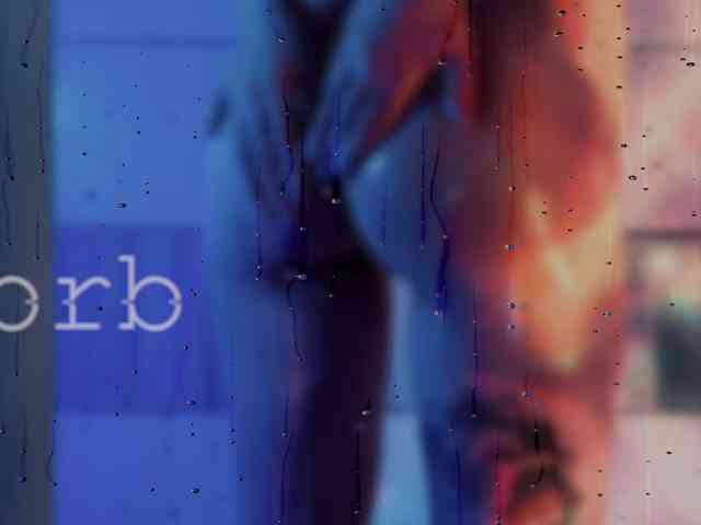 SOVA_tut webcam
