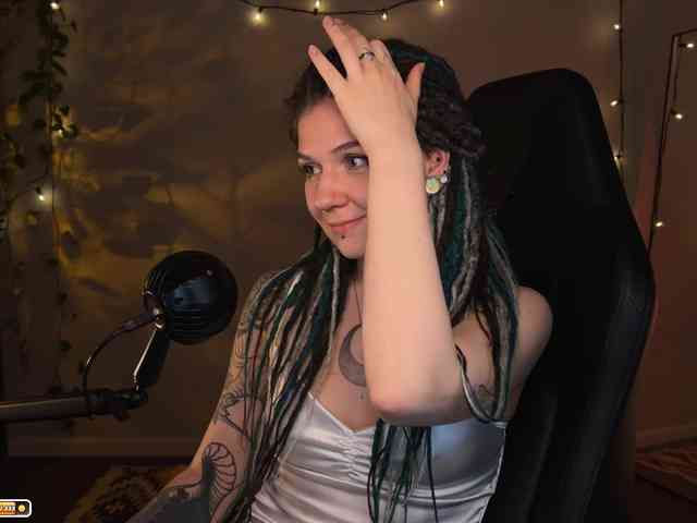 SOVA_tut webcam