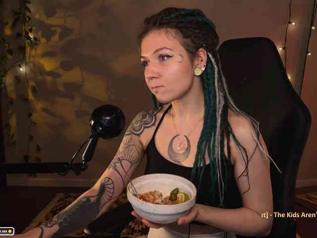 SOVA_tut webcam