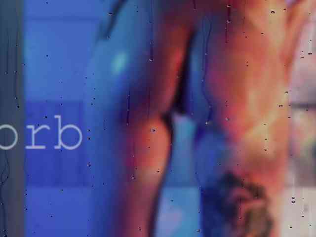 SOVA_tut webcam