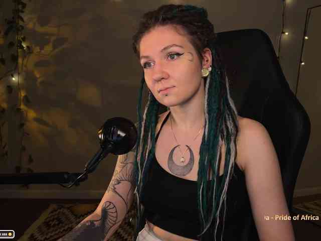 SOVA_tut webcam
