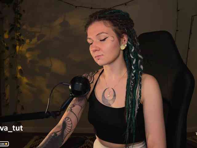 SOVA_tut webcam