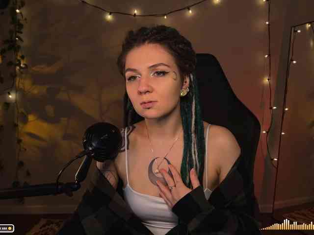 SOVA_tut webcam