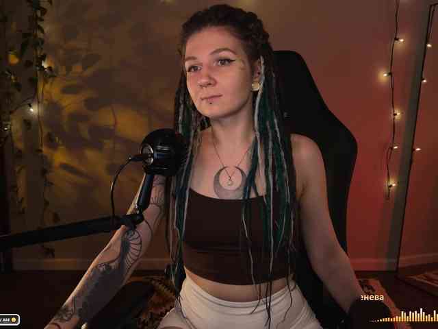 SOVA_tut webcam