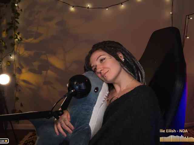 SOVA_tut webcam
