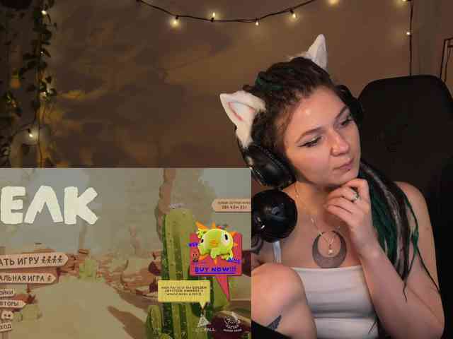 SOVA_tut webcam