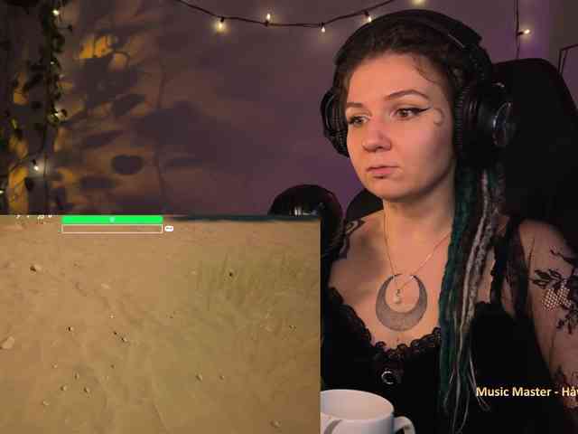 SOVA_tut webcam