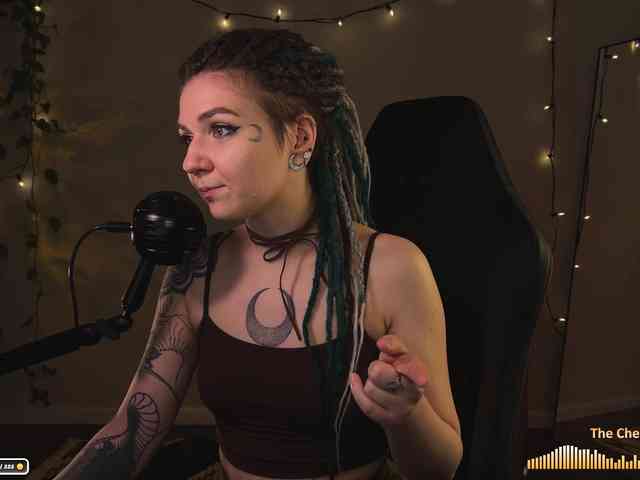 SOVA_tut webcam