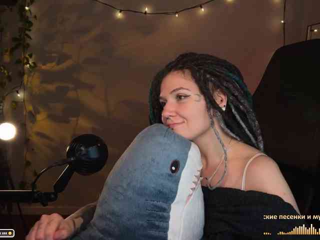 SOVA_tut webcam