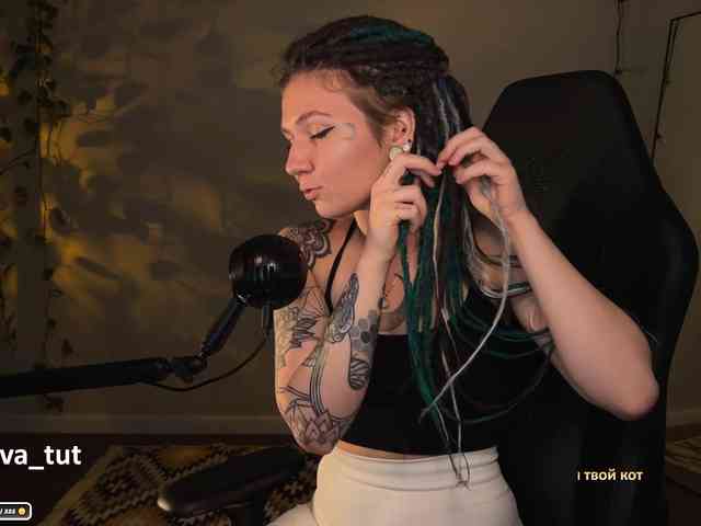 SOVA_tut webcam