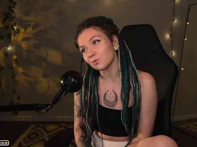 SOVA_tut webcam