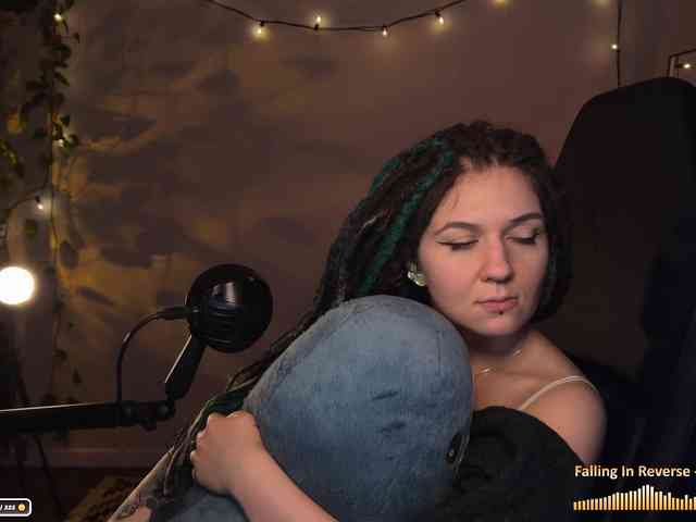 SOVA_tut webcam