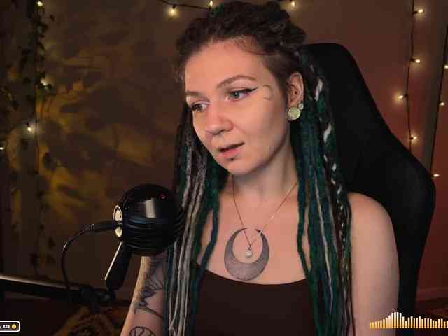 SOVA_tut webcam