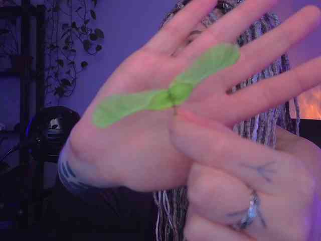 bySOVA webcam