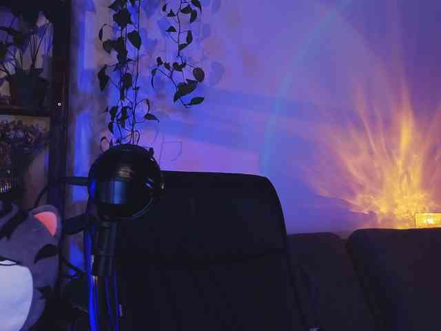 bySOVA webcam