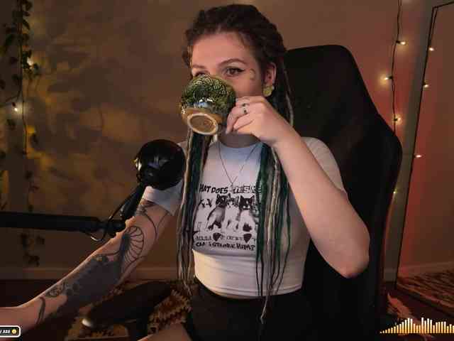SOVA_tut webcam