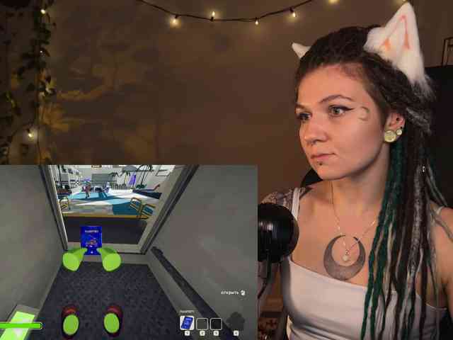 SOVA_tut webcam
