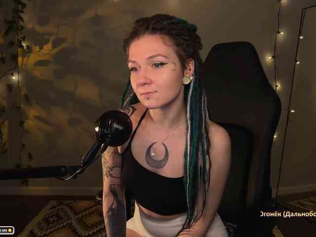 SOVA_tut webcam