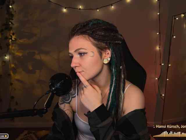 SOVA_tut webcam